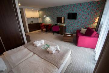 Фото номера Стандартный люкс Апарт-отели Aparthotel Flinski Sport &amp; SPA г. Сверадув-Здруй 8