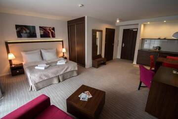 Фото номера Стандартный люкс Апарт-отели Aparthotel Flinski Sport &amp; SPA г. Сверадув-Здруй 9