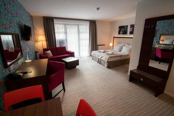 Фото номера Стандартный люкс Апарт-отели Aparthotel Flinski Sport &amp; SPA г. Сверадув-Здруй 10