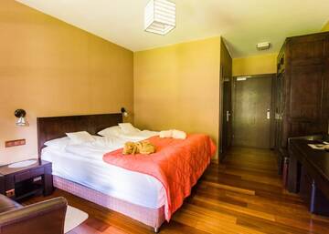 Фото Отель Hotel Sudetia г. Сверадув-Здруй 4