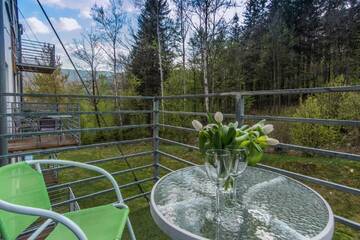 Фото номера One-Bedroom Apartment (Całoroczny) Апарт-отели Apartamenty Izerskie - ul. Cicha 13D-E г. Сверадув-Здруй 5